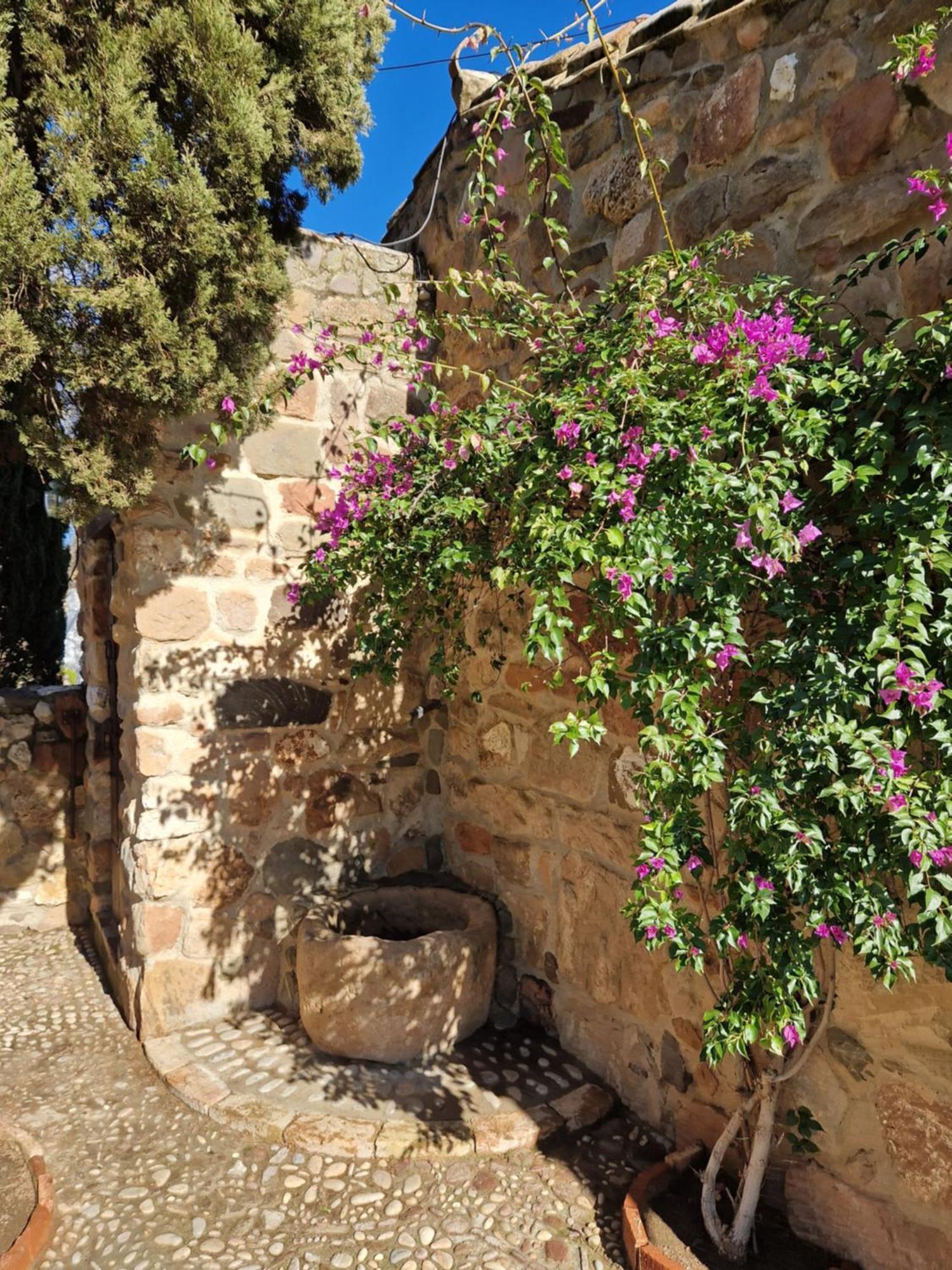 Colonos Alojamientos Rurales Guarroman ภายนอก รูปภาพ